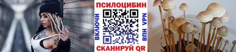 даркнет сайт  Гаджиево  Псилоцибиновые грибы Cubensis 